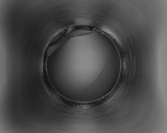 X0000095120492200712141139