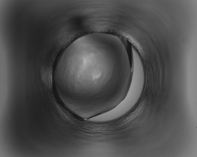 X0000095120493200712141139