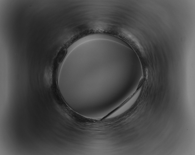 X0000095120496200712141139