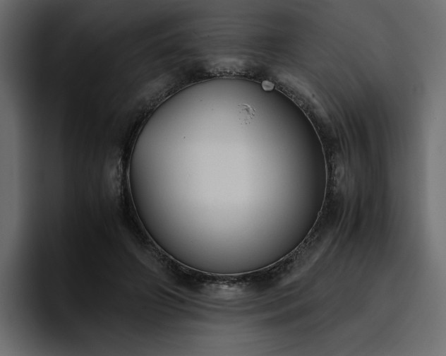 X0000095120498200712141139