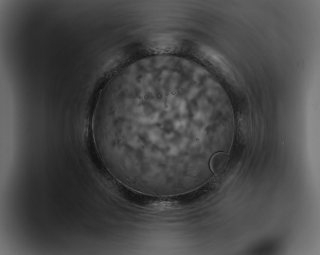 X0000095120499200712141139