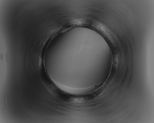 X0000095120500200712141139