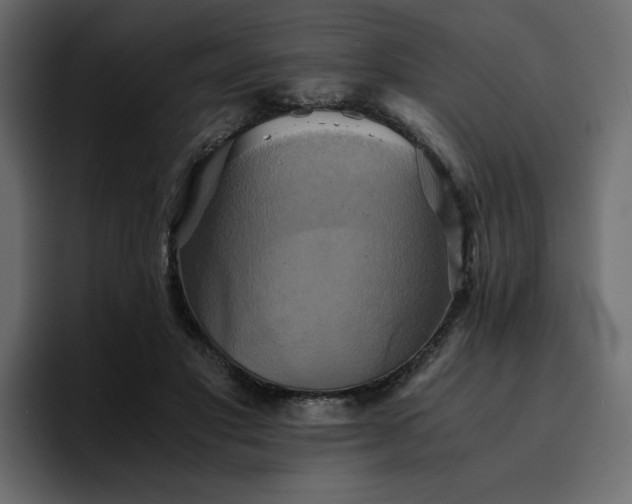 X0000095120501200712141139