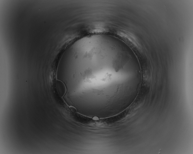 X0000095120503200712141139