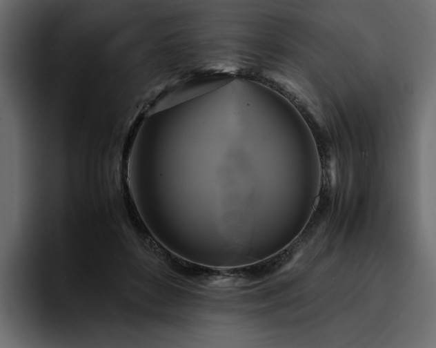 X0000095120504200712141139