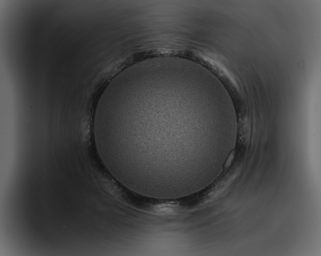 X0000095120505200712141139