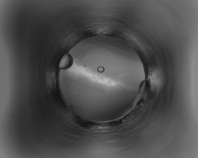 X0000095120506200712141139