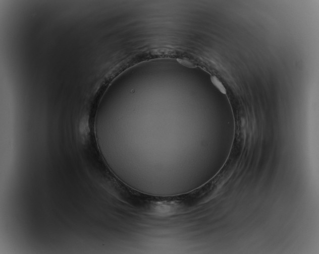 X0000095120508200712141139