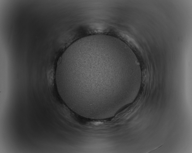 X0000095120509200712141139