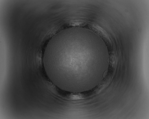 X0000095120510200712141139