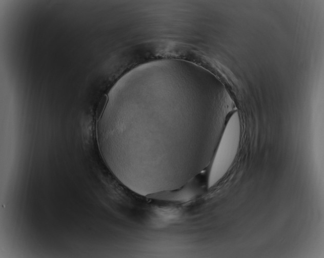 X0000095120513200712141139