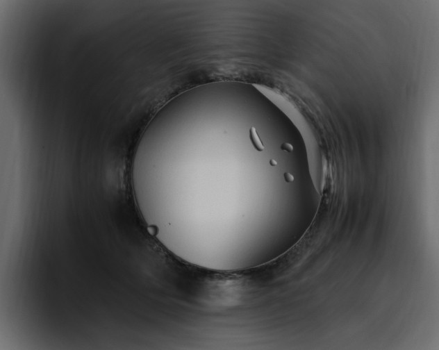 X0000095120514200712141139