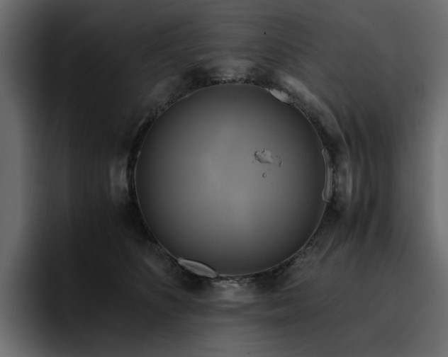 X0000095120516200712141139