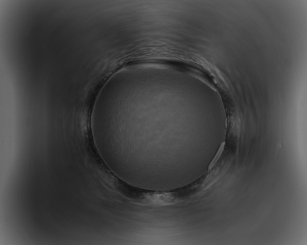 X0000095120517200712141139