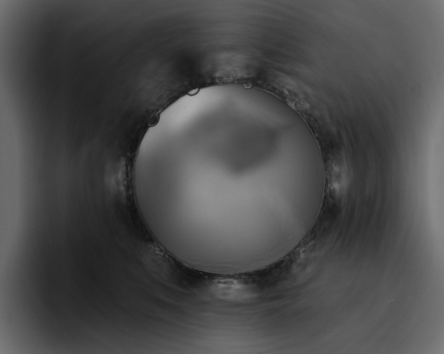 X0000095120519200712141139