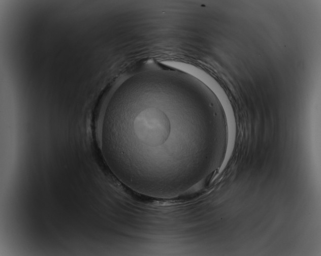 X0000095120520200712141139