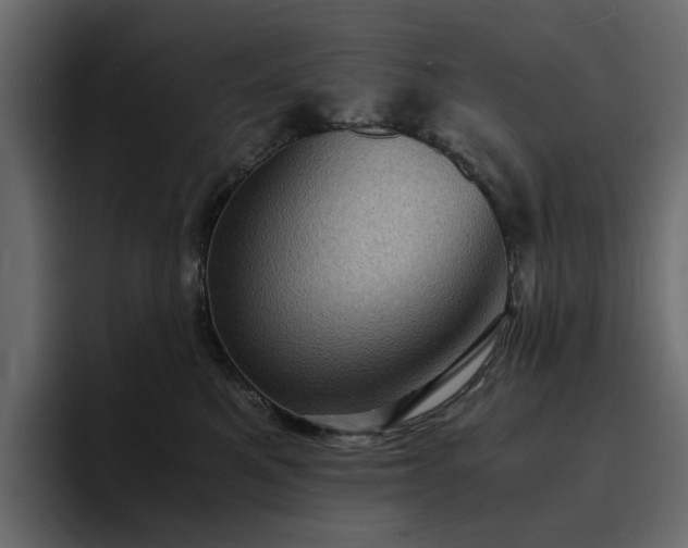 X0000095120521200712141139