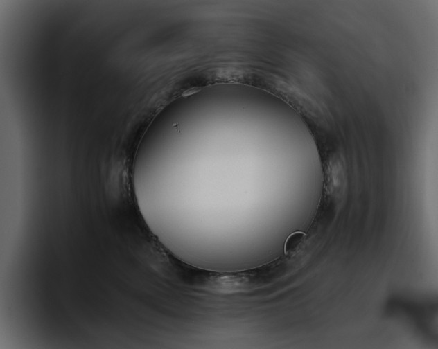 X0000095120522200712141139