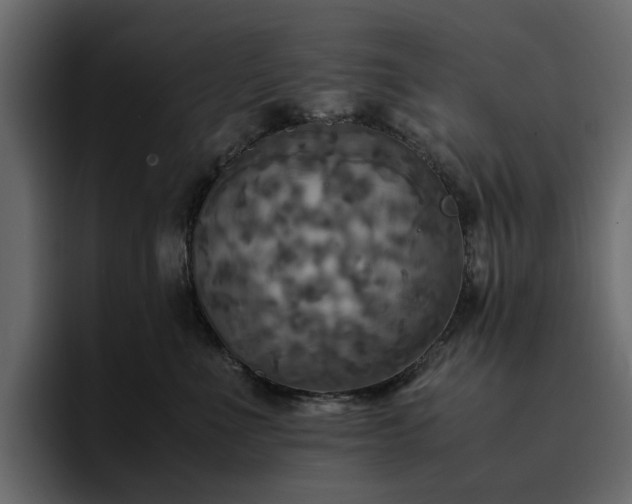 X0000095120523200712141139