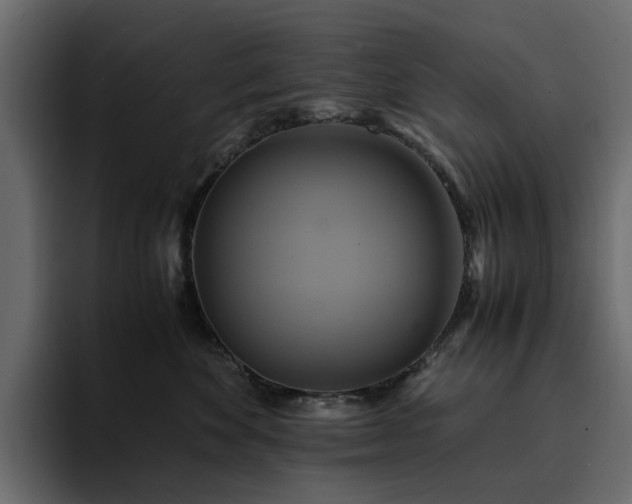 X0000095120524200712141139