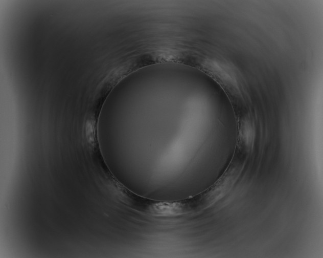 X0000095120526200712141139