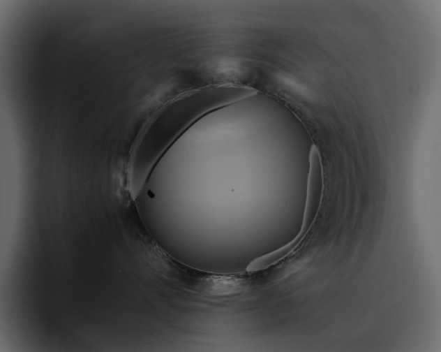 X0000095120528200712141139