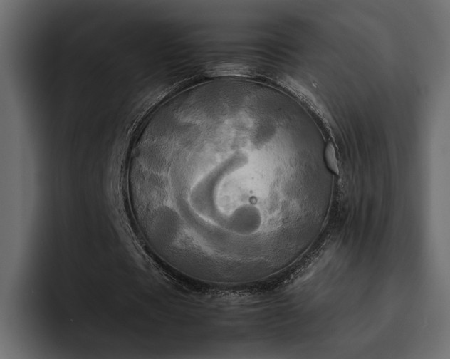 X0000095120529200712141138