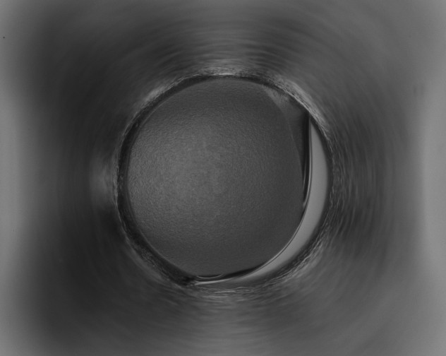 X0000095120530200712141138