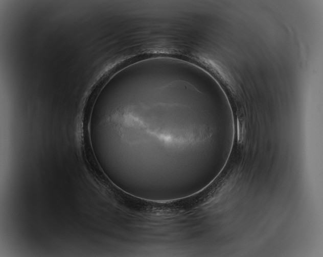 X0000095120531200712141138