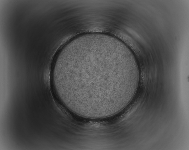 X0000095120534200712141138