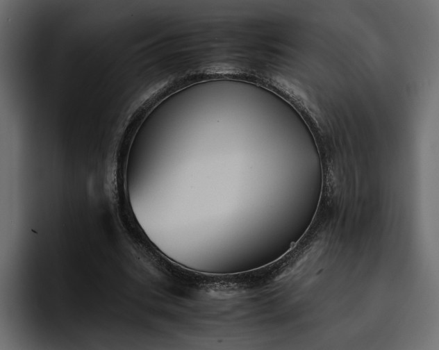 X0000095120535200712141138