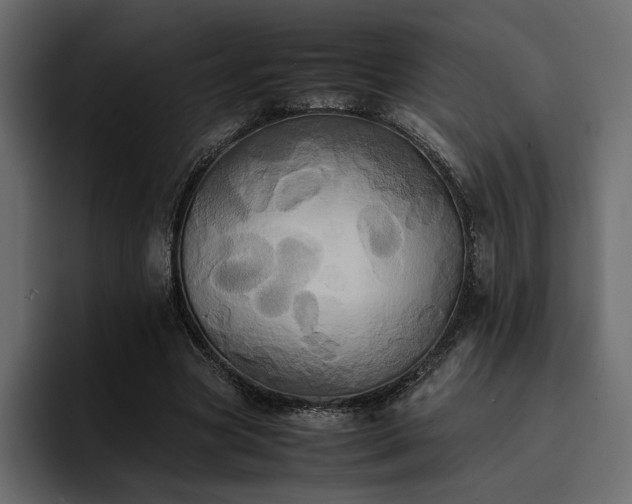 X0000095120537200712141138