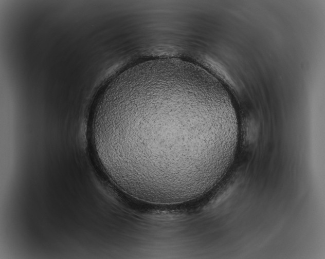 X0000095120538200712141138