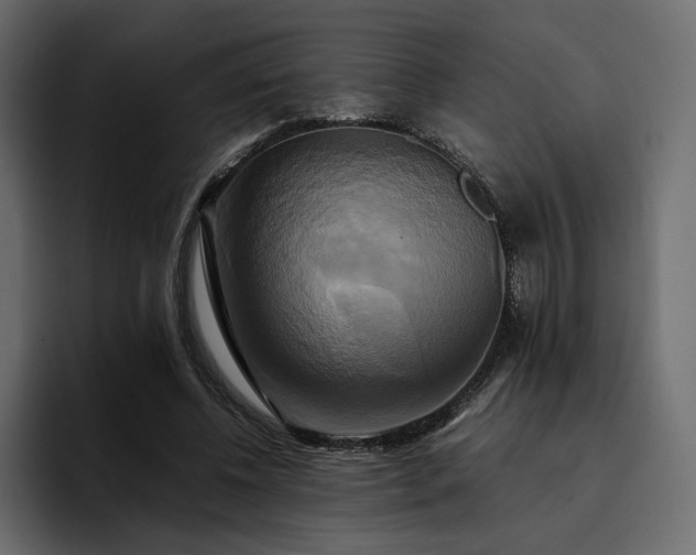 X0000095120540200712141138