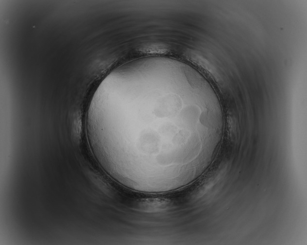 X0000095120541200712141138