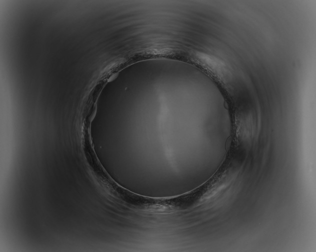 X0000095120542200712141138