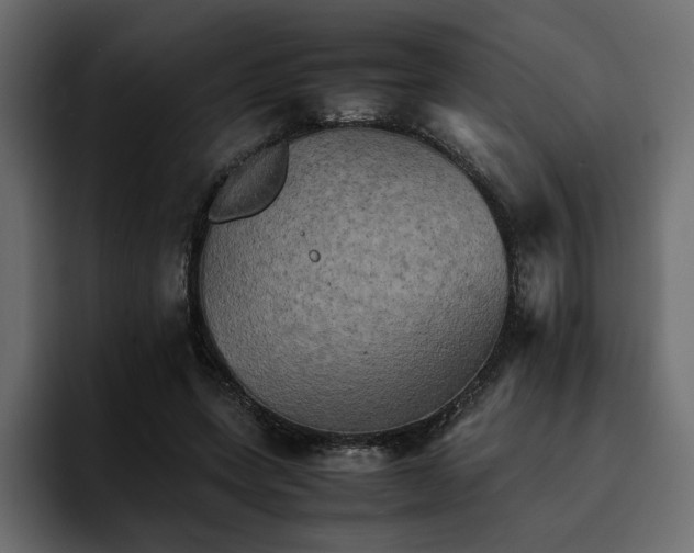 X0000095120543200712141138