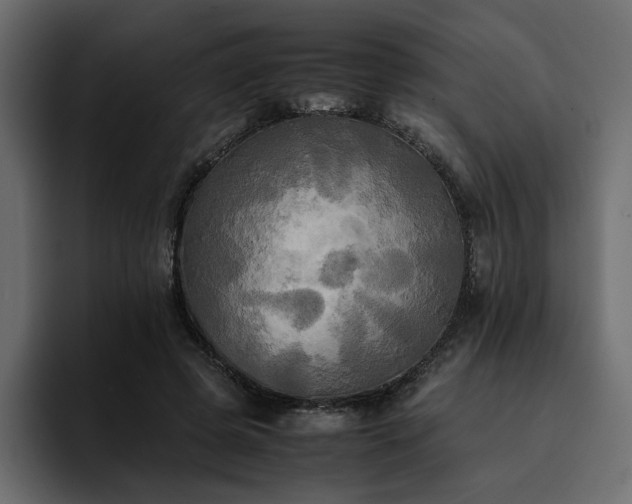 X0000095120545200712141138