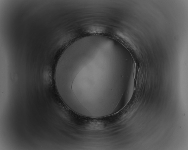 X0000095120547200712141138