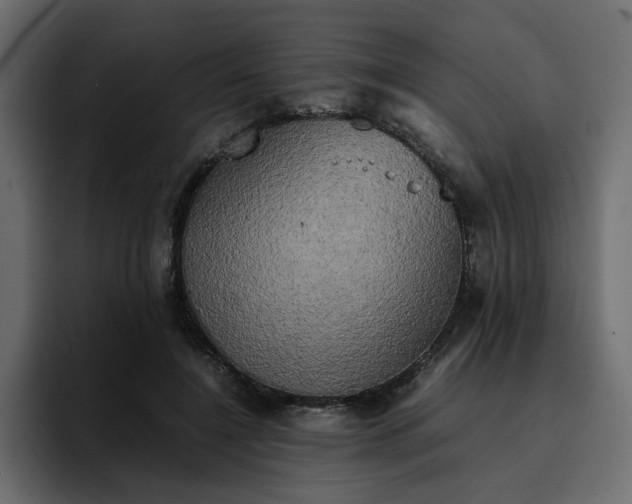 X0000095120548200712141138