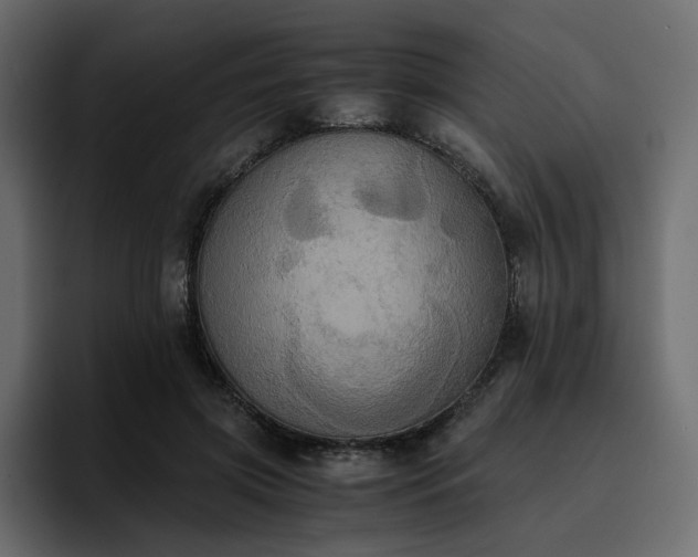 X0000095120549200712141138