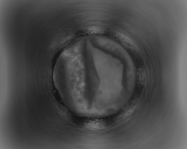 X0000095120550200712141138