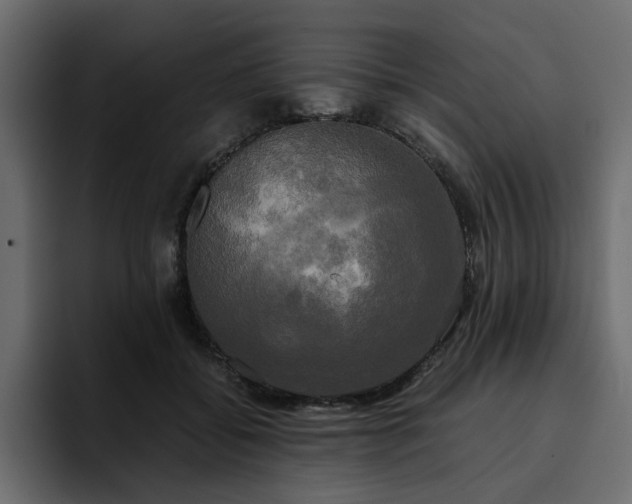 X0000095120556200712141138