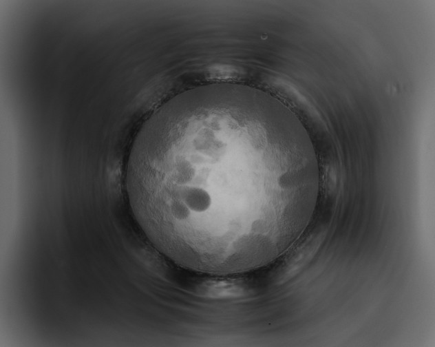 X0000095120557200712141138