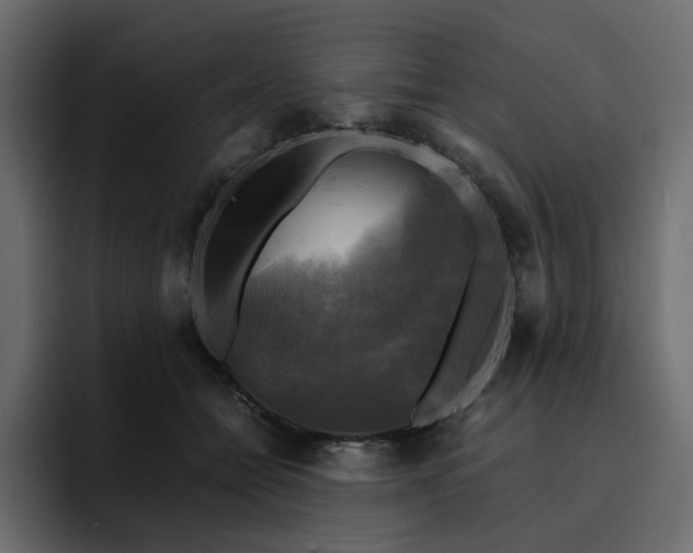 X0000095120558200712141138