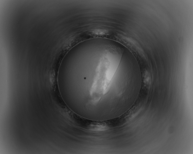 X0000095120559200712141138