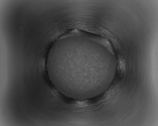 X0000095120560200712141138