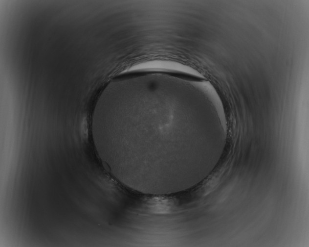 X0000095120562200712141138