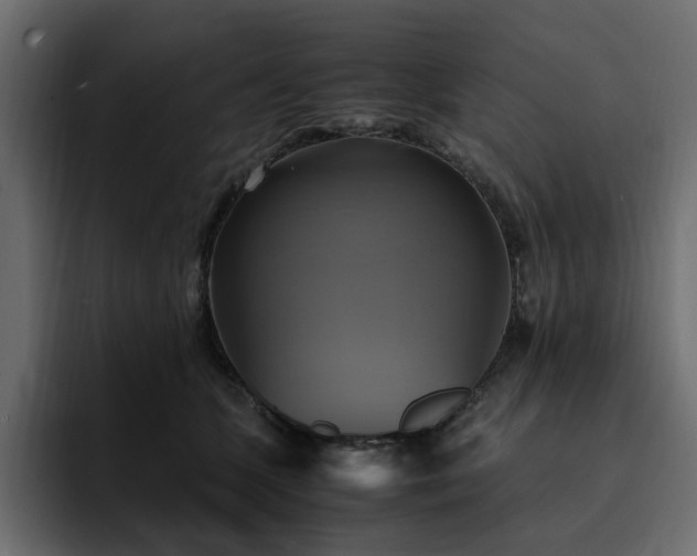 X0000095120563200712141138