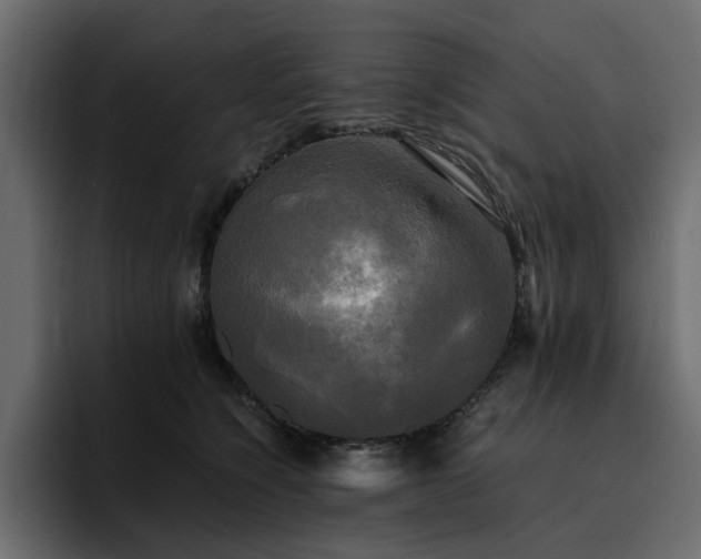 X0000095120564200712141138